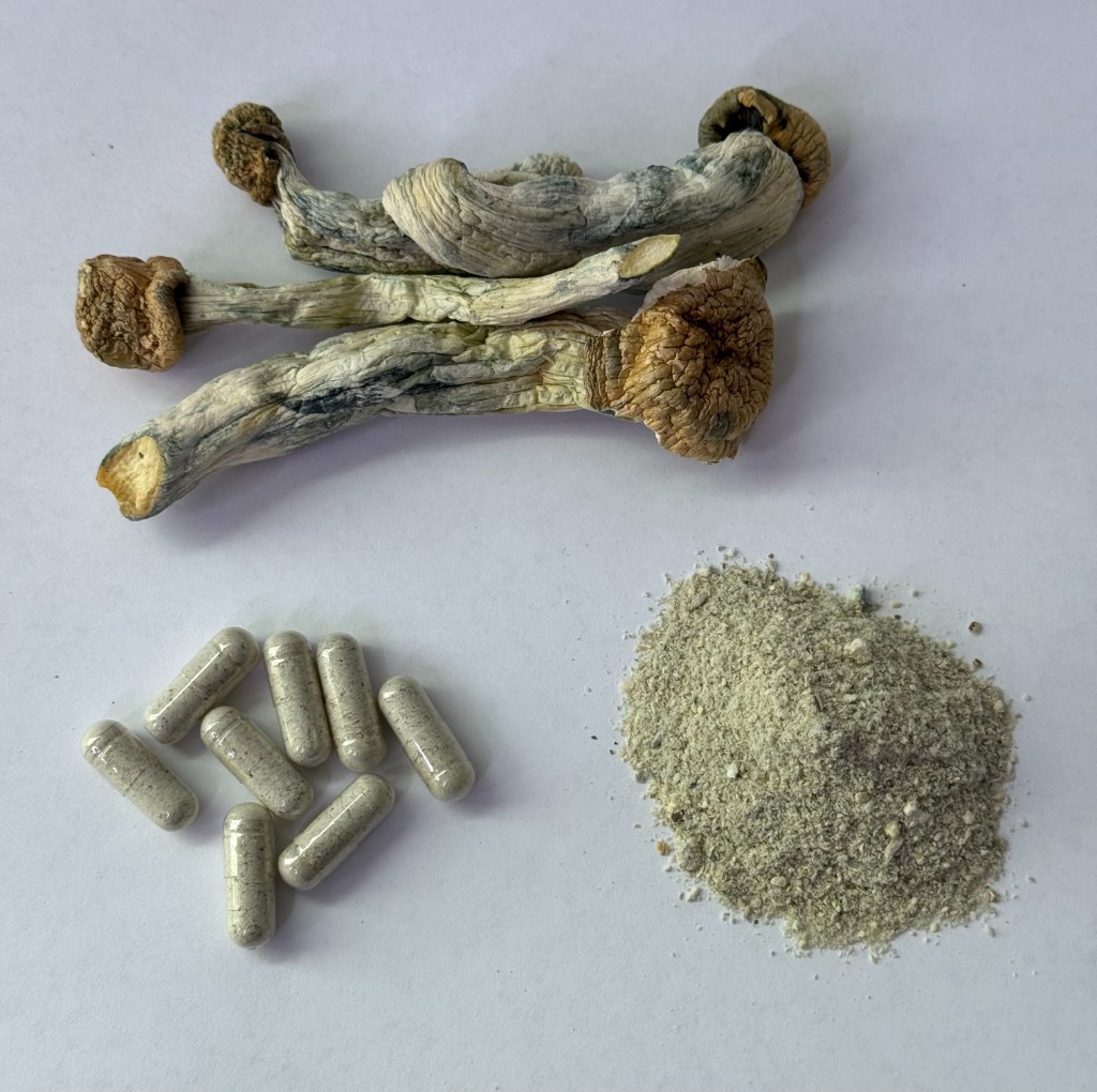 Blue Bear Capsules — 20 Capsules