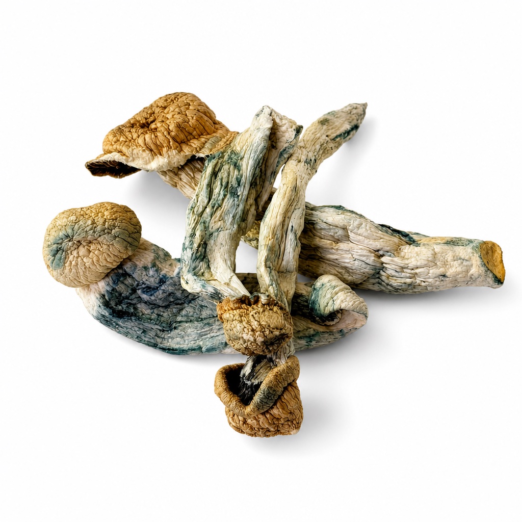 Dried Monster Mac magic mushrooms with golden-brown caps and blue bruising